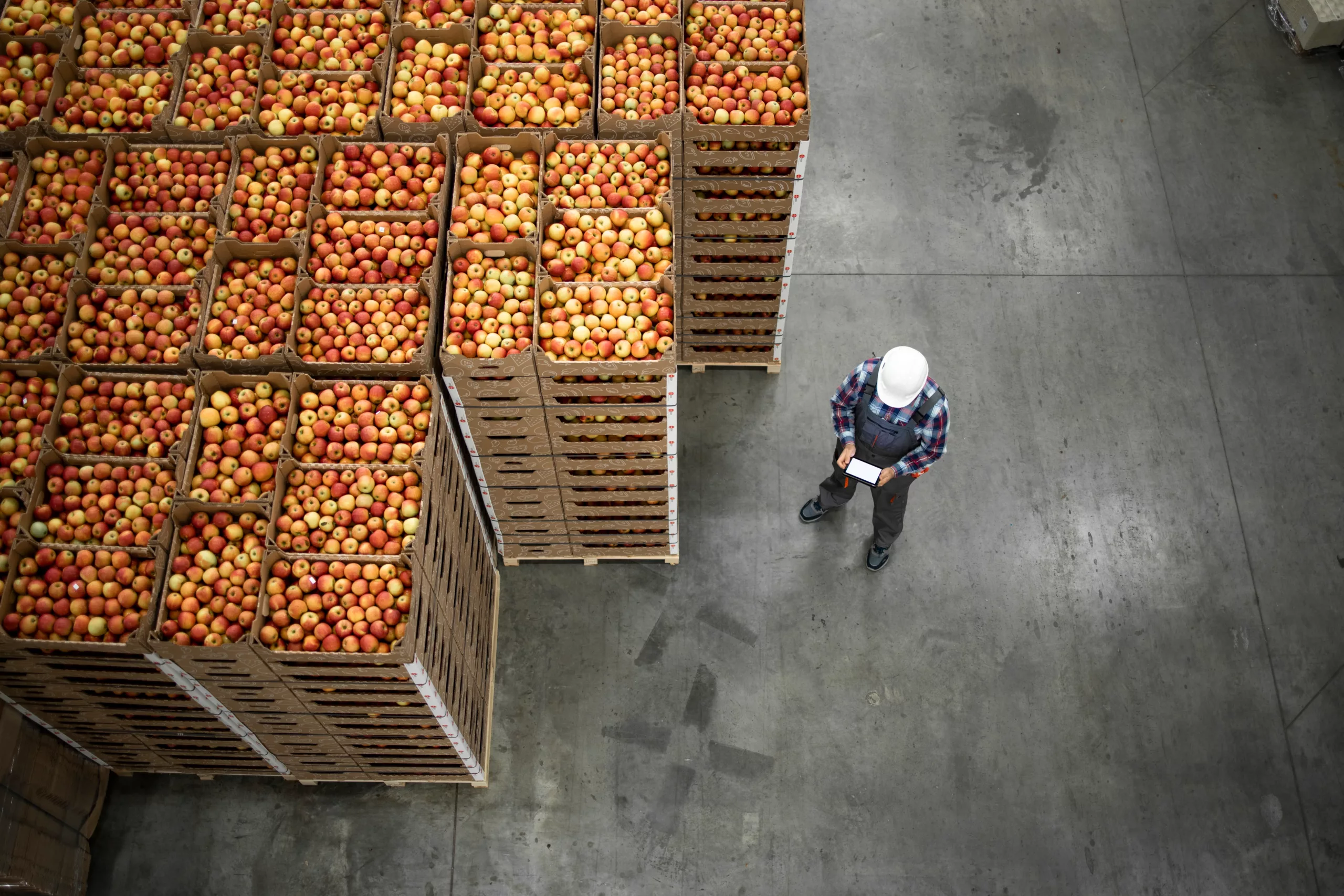 Cold storage facility
