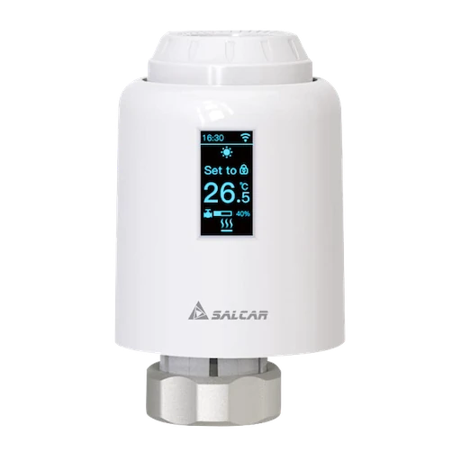 Tuya TRV602 device photograph