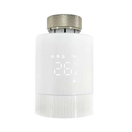 Tuya TS0601_thermostat_6 device photograph