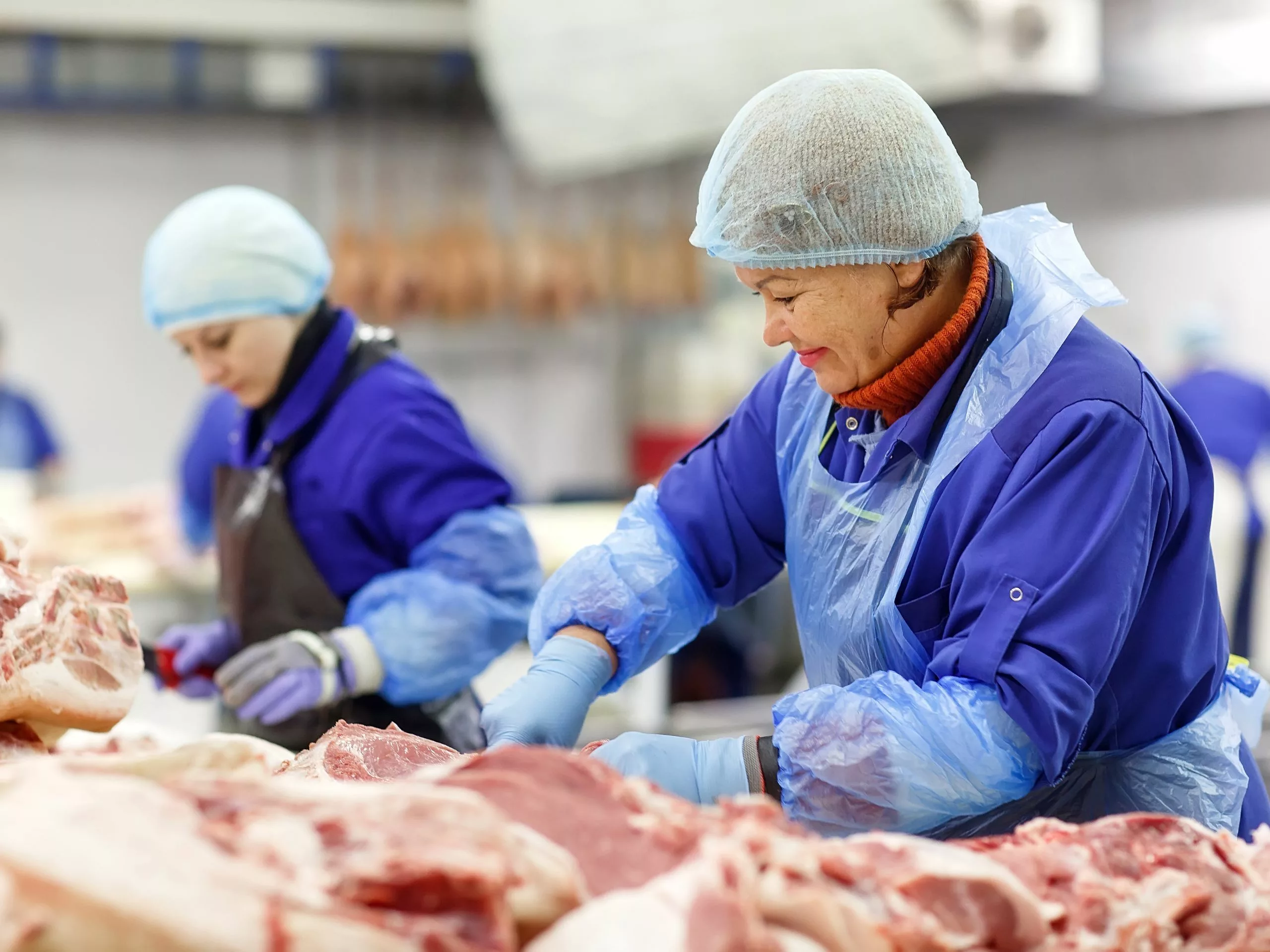 Employees manage inventory at commercial meat processing plant. Source: Canva.